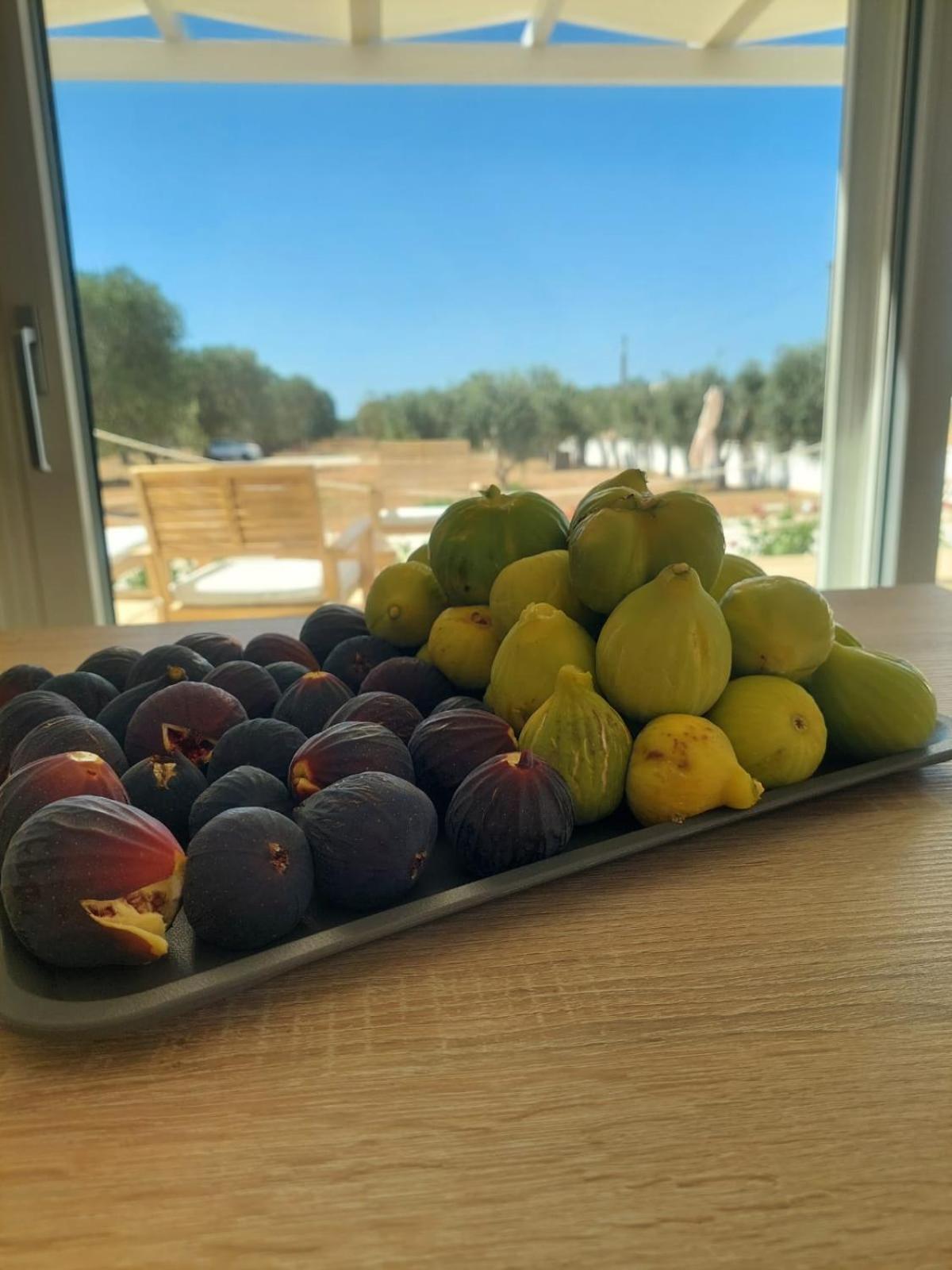 B&B Foglie D'Ulivo Lizzano  Εξωτερικό φωτογραφία